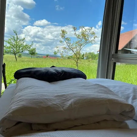 Natural Adventures In Stylis Apartment Vorbach